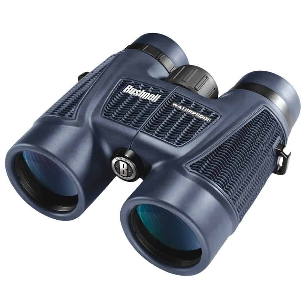 7 Best Binoculars for Whale Watching from Land or Shore - Binoculars