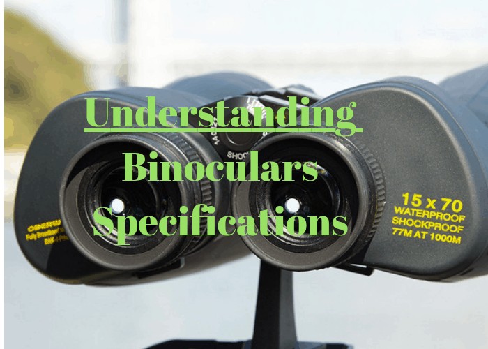 binocular specification