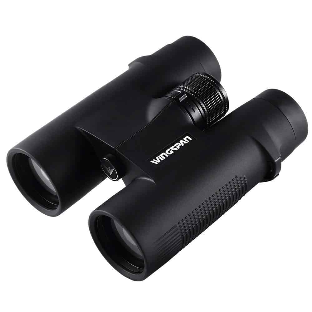 Best Binoculars for Wildlife Viewing and Safari Travel Binoculars