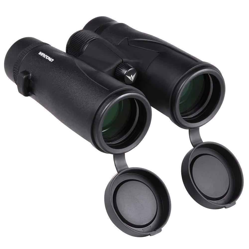 wingspan binoculars