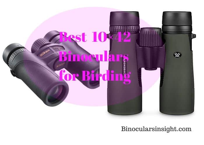 5 Best Binoculars for Eyeglasses (Reviews Updated 2020) - GigOptix